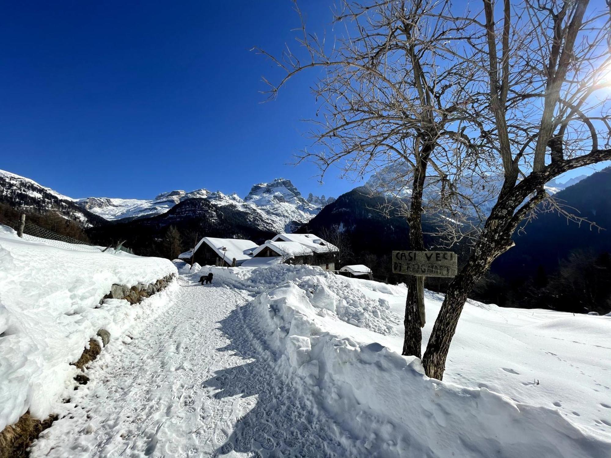 Villa Alpina Campiglio Madonna 外观 照片