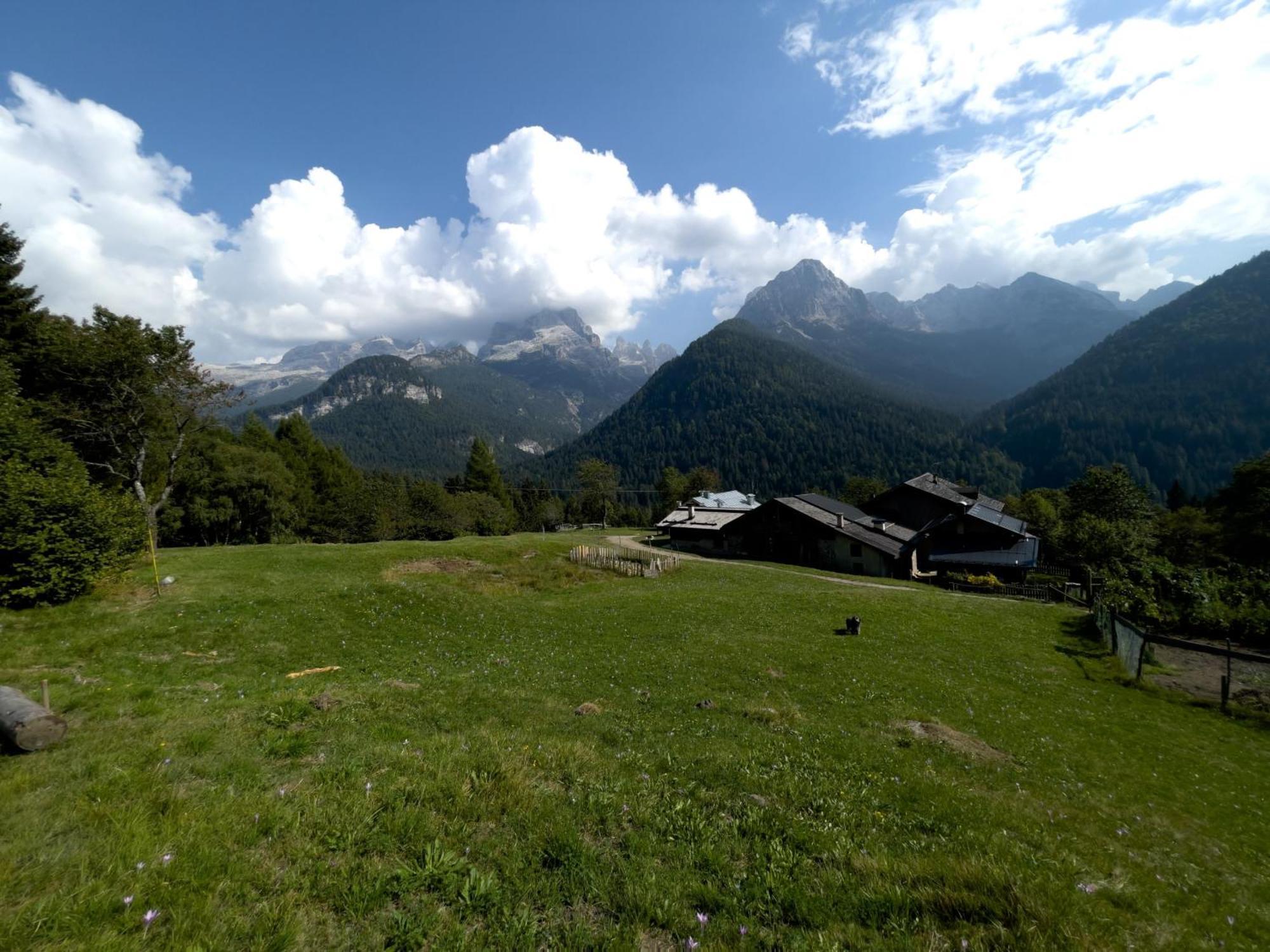 Villa Alpina Campiglio Madonna 外观 照片