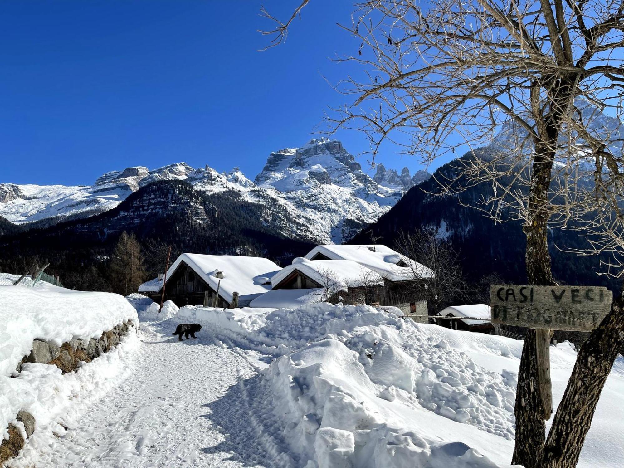 Villa Alpina Campiglio Madonna 外观 照片