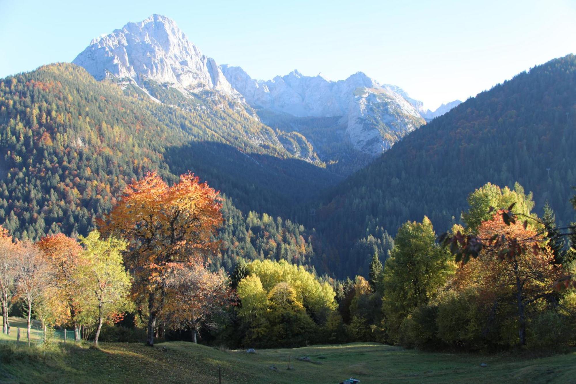 Villa Alpina Campiglio Madonna 外观 照片
