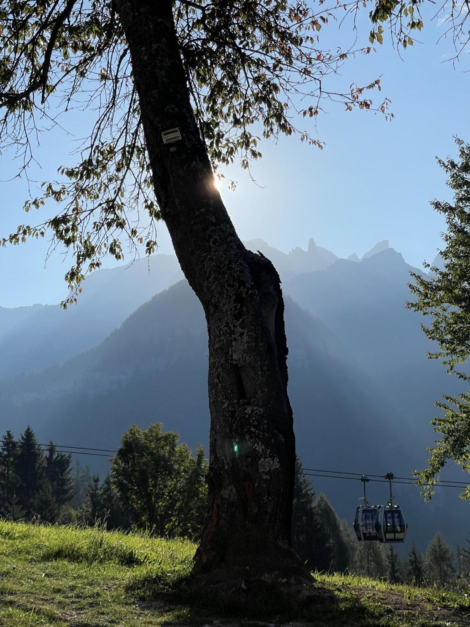 Villa Alpina Campiglio Madonna 外观 照片