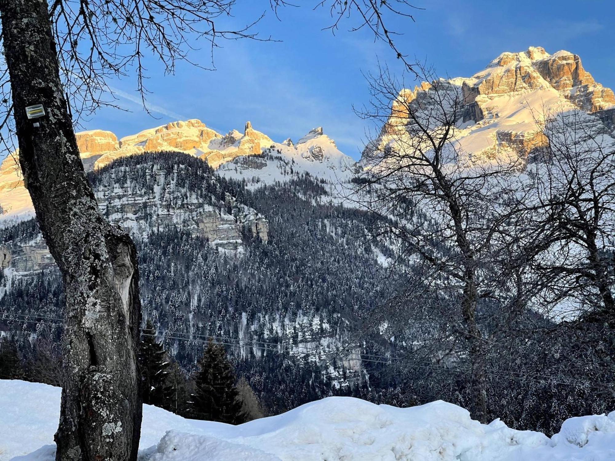 Villa Alpina Campiglio Madonna 外观 照片