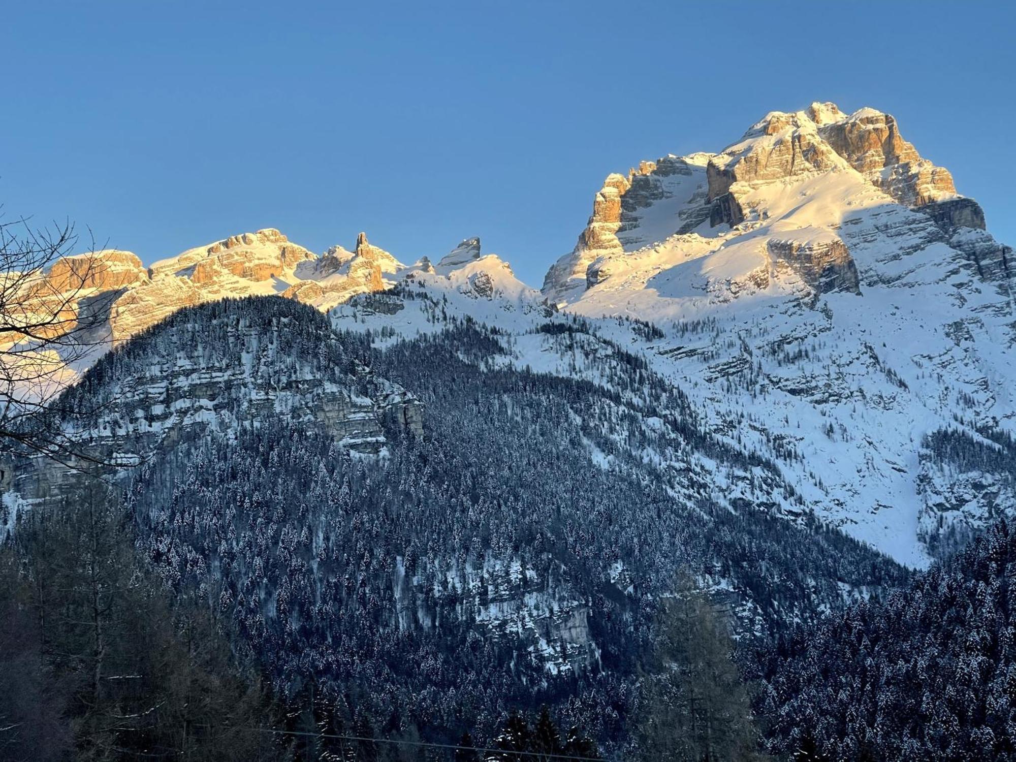 Villa Alpina Campiglio Madonna 外观 照片