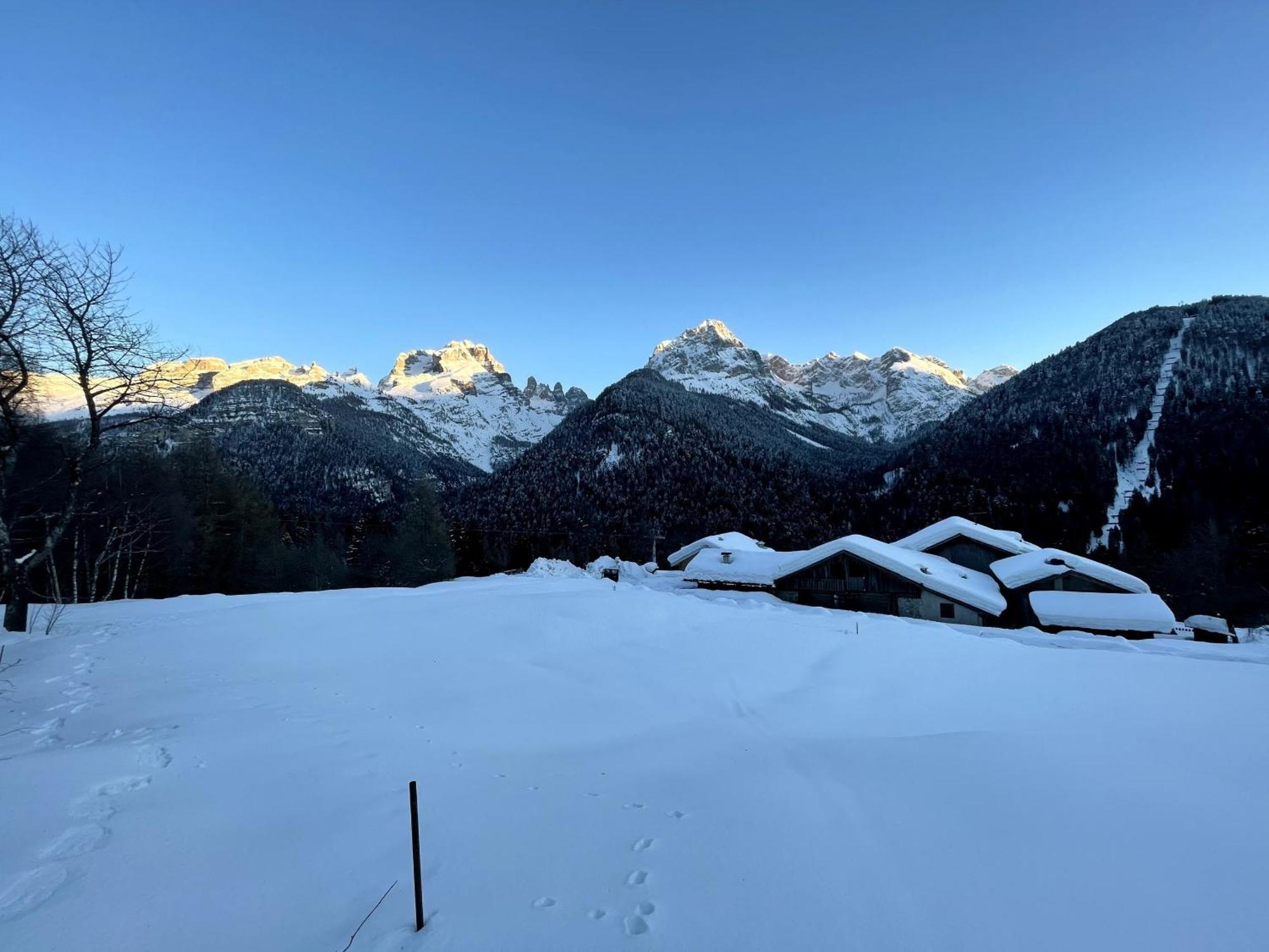 Villa Alpina Campiglio Madonna 外观 照片