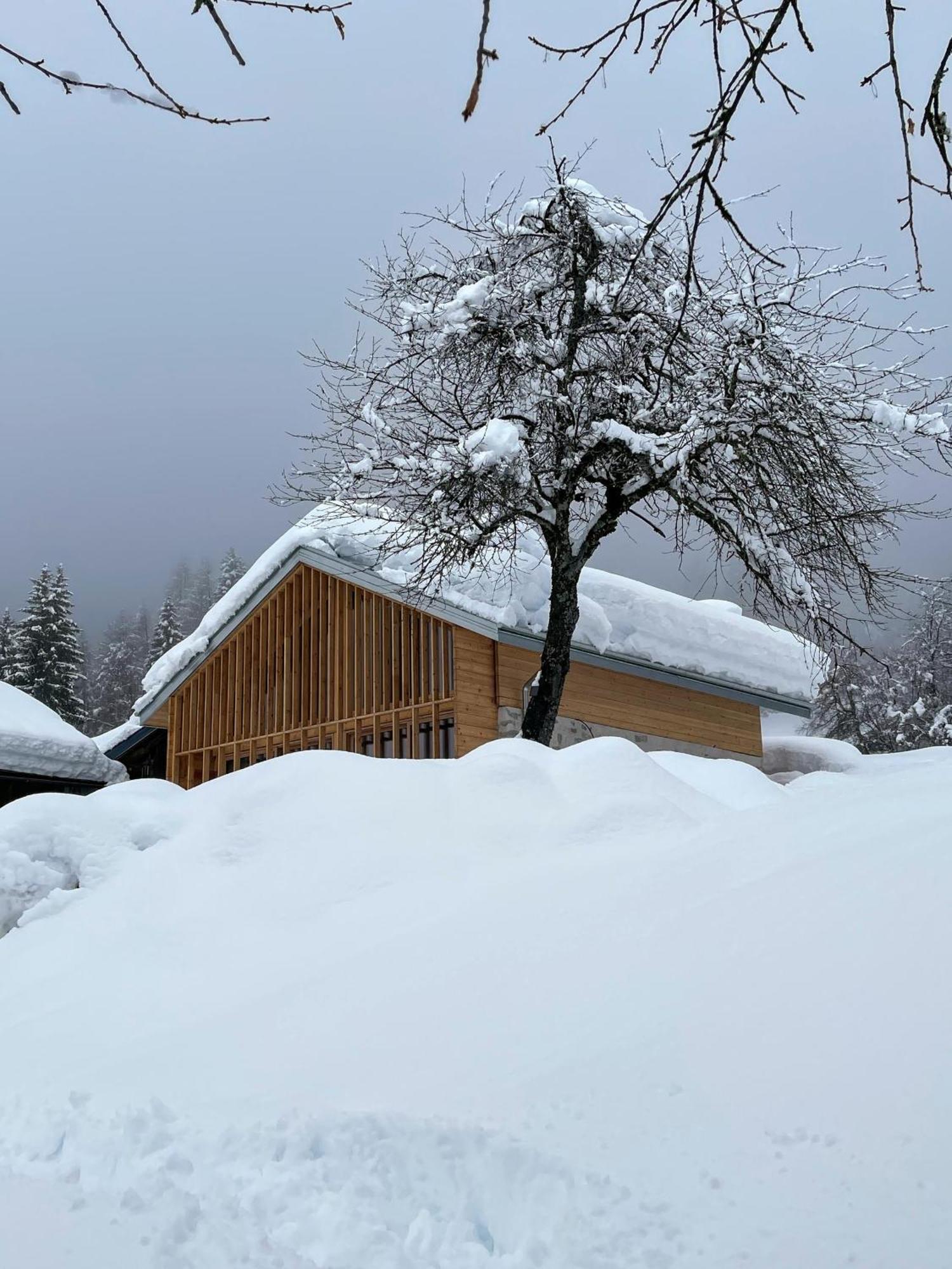 Villa Alpina Campiglio Madonna 外观 照片